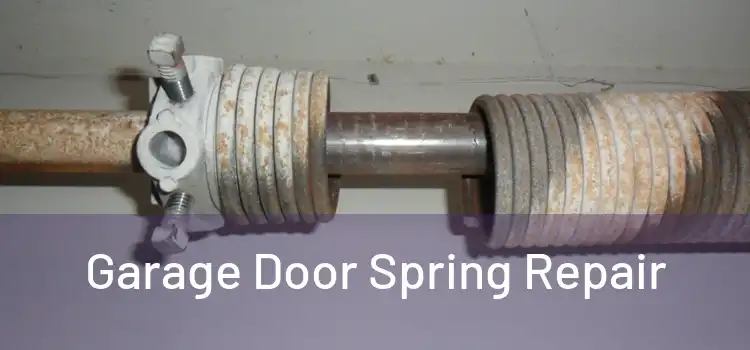  Garage Door Spring Repair 