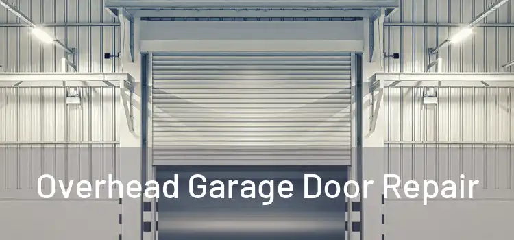  Overhead Garage Door Repair 